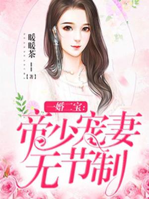 一婚二宝：帝少宠妻无节制