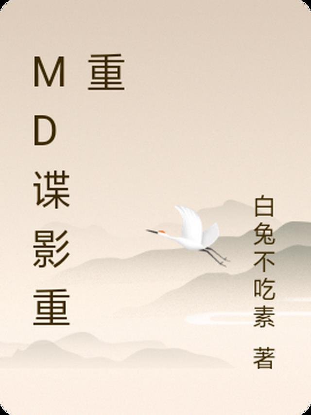 MD谍影重重