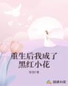 重生后我成了黑红小花